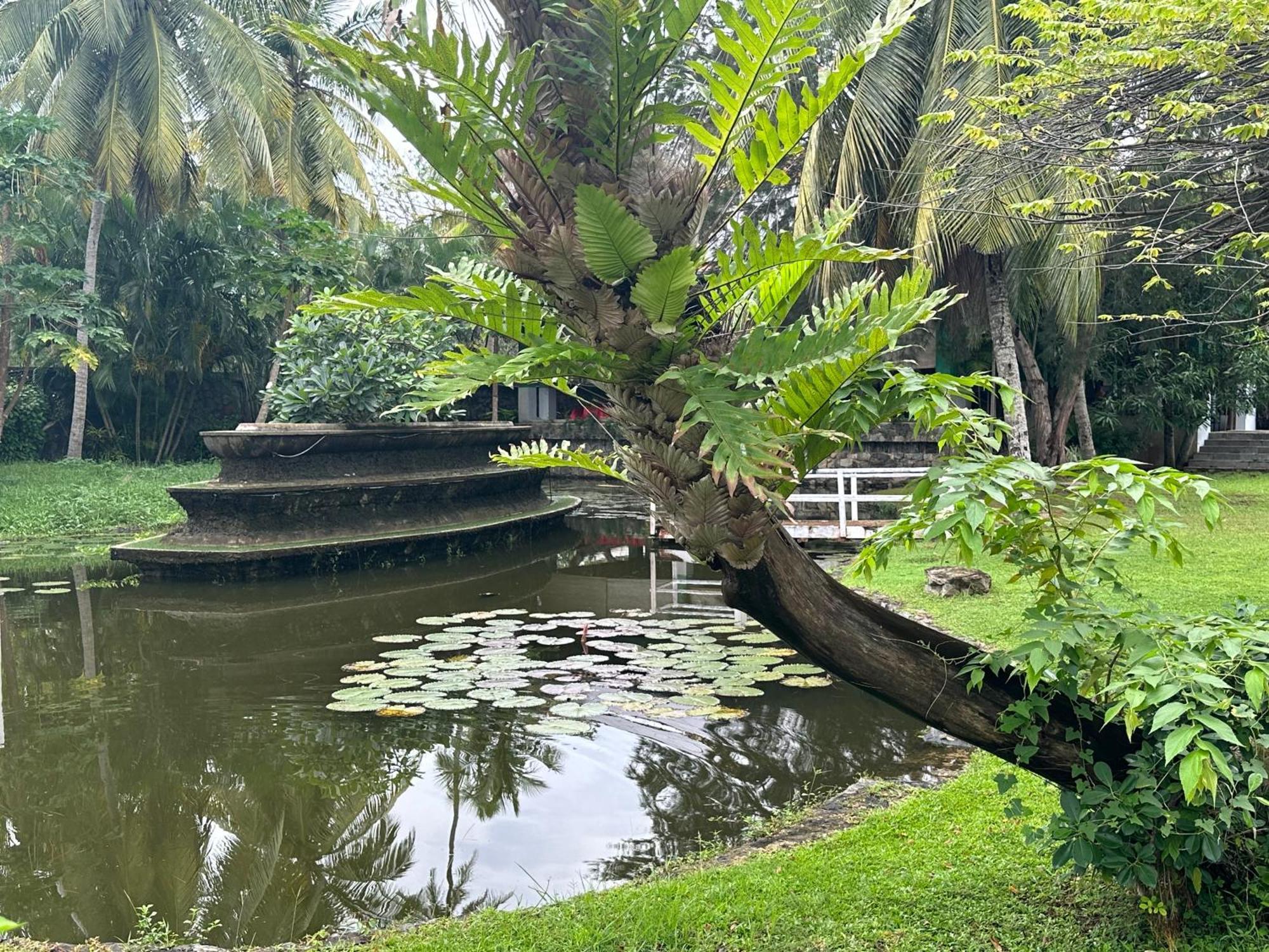 Amaluna Resorts Negombo Exterior photo